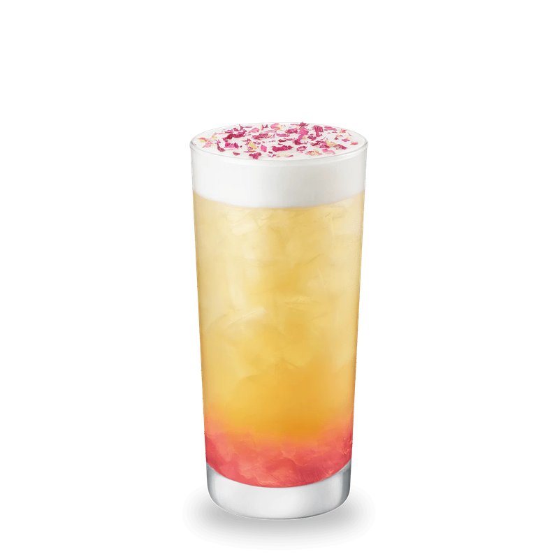 Apple Camellia Iced Garden Tea — Starbucks Australia