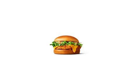 Tasty Chicken Burger